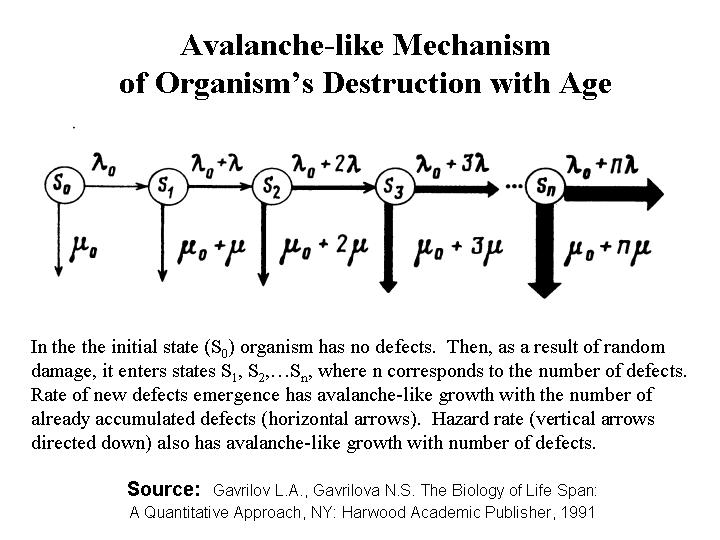 avalanche-like destruction